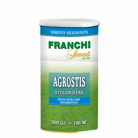 Prato Agrostis Penncross (Semente)