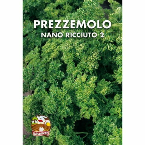 Prezzemolo nano ricciuto 2 (Semente)