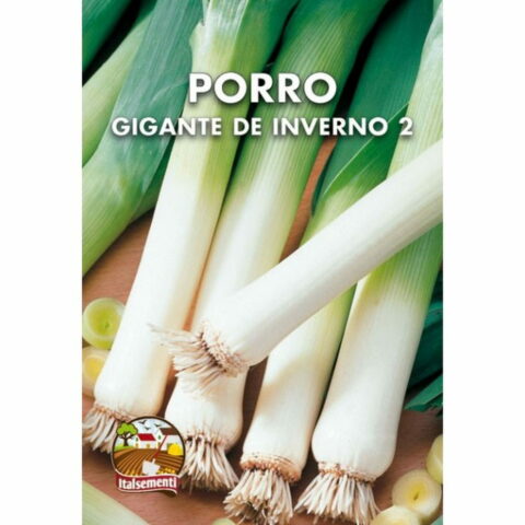 Porro Gigante de Inverno 2 (Semente)