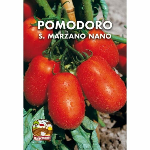 Pomodoro San Marzano nano (Semente)