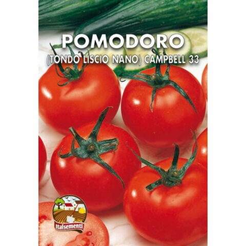 Pomodoro Tondo liscio nano Campbell 33 (Semente)