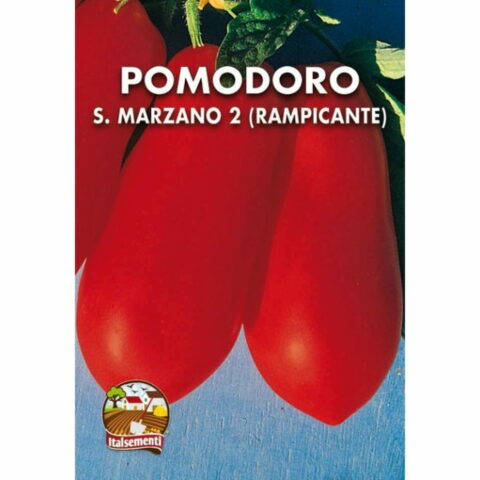 Pomodoro San Marzano 2 rampicante (Semente)