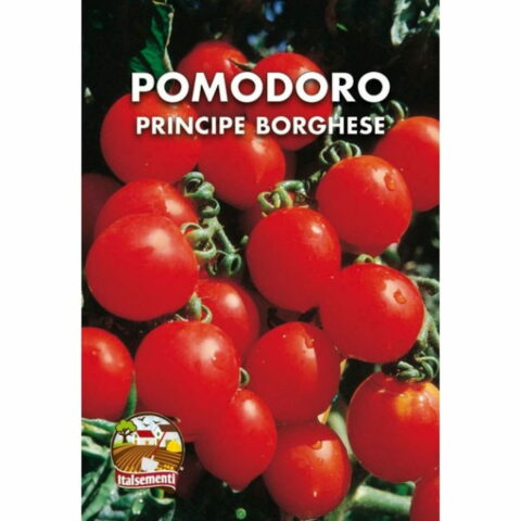 Pomodoro Principe Borghese (Semente)