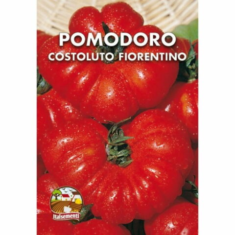 Pomodoro Costoluto fiorentino (Semente)