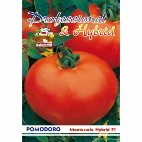Pomodoro Montecarlo ibrido F1 (Semente)