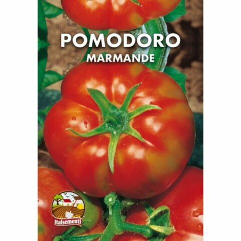 Pomodoro Costoluto Marmande (Semente)