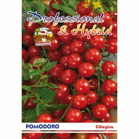 Pomodoro Ciliegino (Semente)