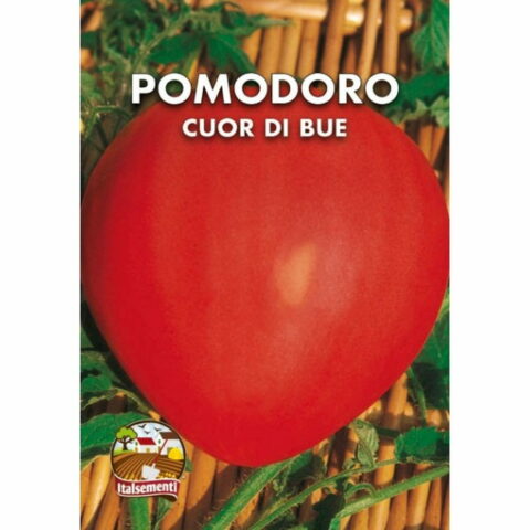 Pomodoro a Cuore di Bue (Semente)