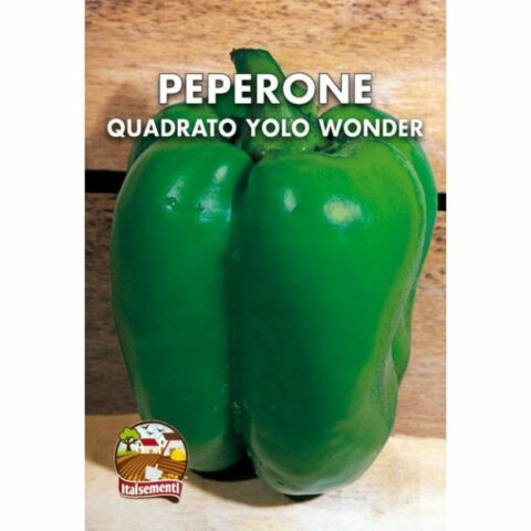 Peperone Quadrato d'Asti verde (Semente)