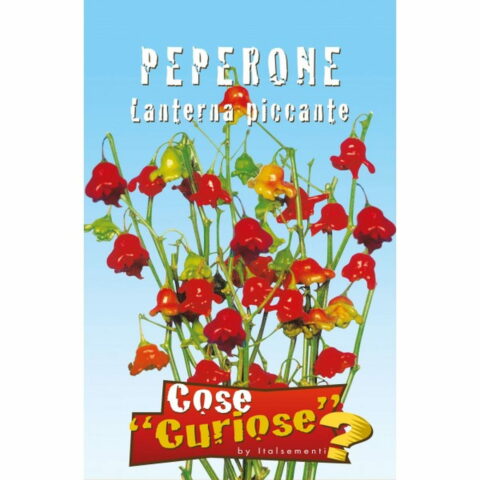 Peperone Lanterna piccante (Semente)