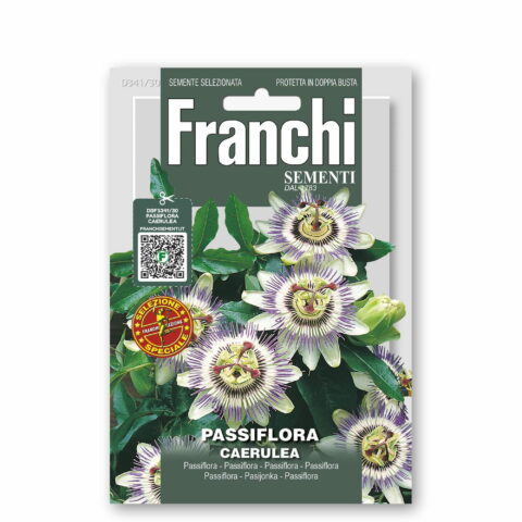 Passiflora caerulea (Semente)