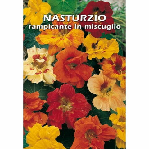 Nasturzio rampicante in miscuglio (Semente)