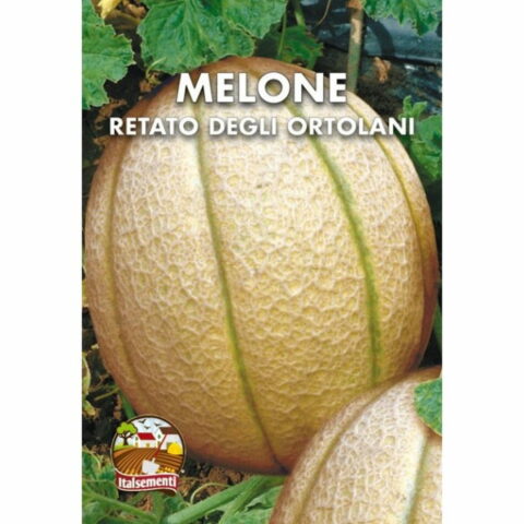Melone retato degli ortolani (Semente)