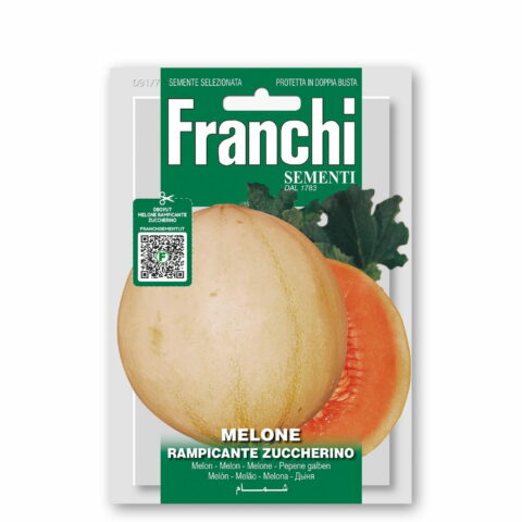 Melone rampicante zuccherino (Semente)