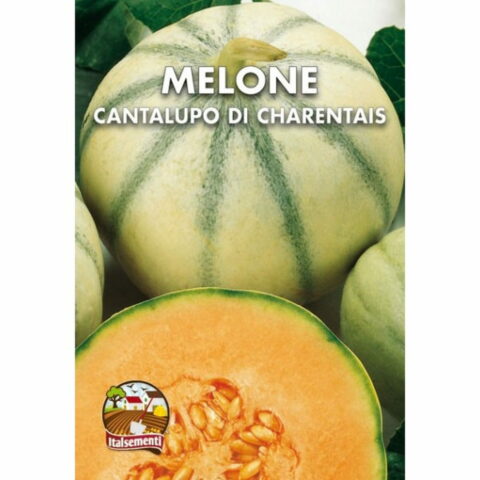 Melone Cantalupo di Charentais (Semente)