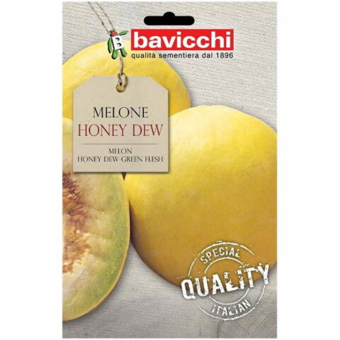 Melone "Honey Dew" (Semente)