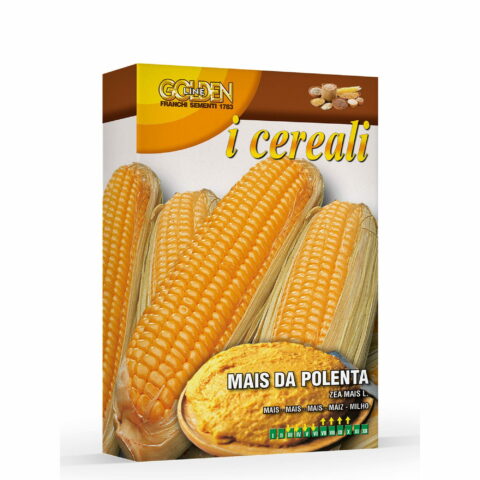 Mais da polenta (Semente in scatola gr 100)