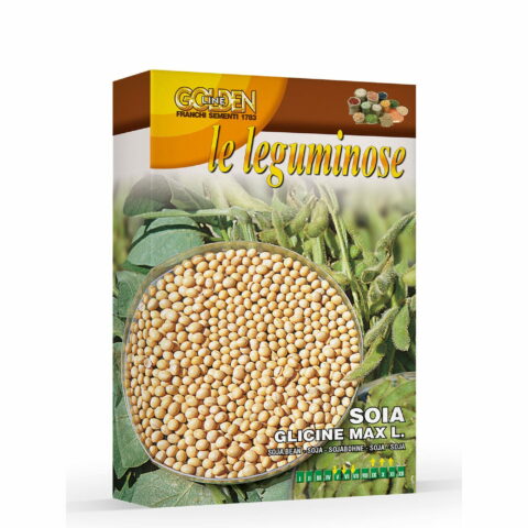 Soia o Soja (Semente in scatola da 100 gr)