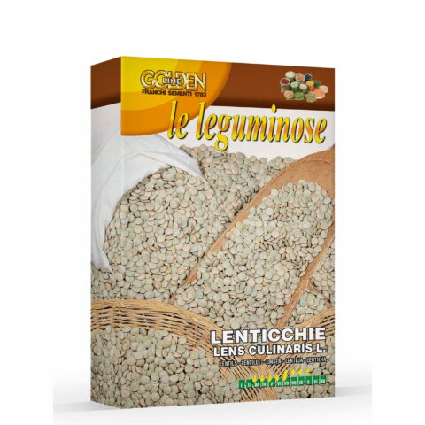 Lenticchia (Semente in scatola gr 100)
