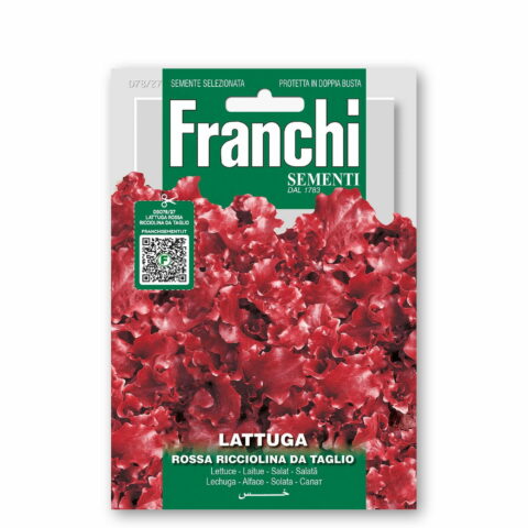 Lattuga rossa ricciolina da taglio (Semente)