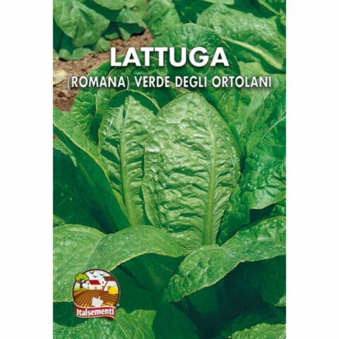 Lattuga romana verde degli Ortolani (Semente)