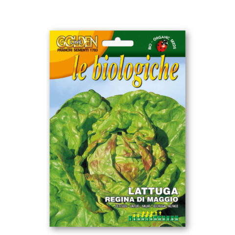 Lattuga regina di maggio (Semente biologica)