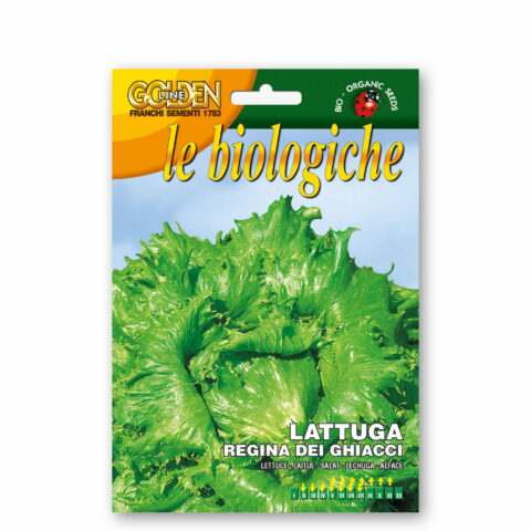 Lattuga regina dei ghiacci (Semente biologica)