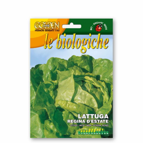Lattuga regina d'estate 2 (Semente biologica)