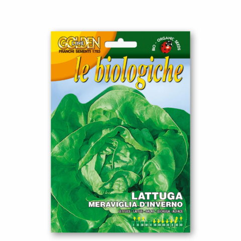 Lattuga meraviglia d'inverno (Semente biologica)