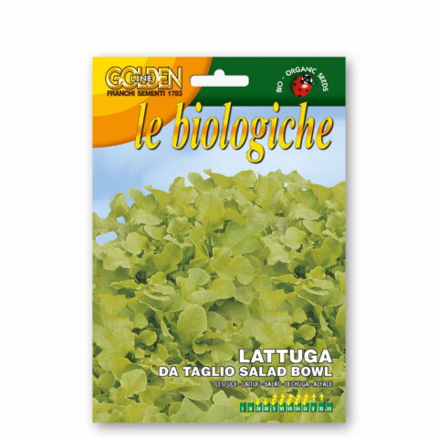 Lattuga da taglio salad bowl (Semente biologica)