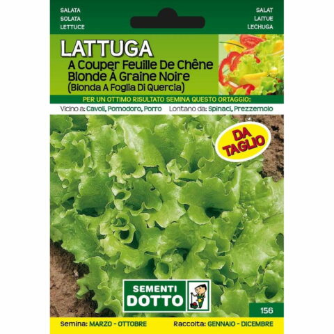 Lattuga bionda foglia di quercia (Semente)