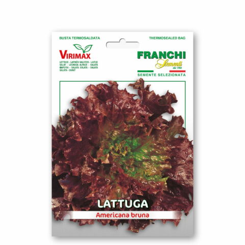 Lattuga americana bruna (Semente)