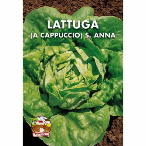 Lattuga a Cappuccio S. Anna (Semente)