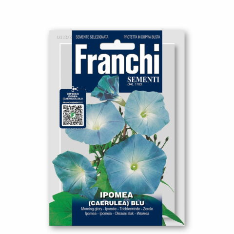 Ipomea blu (Semente)
