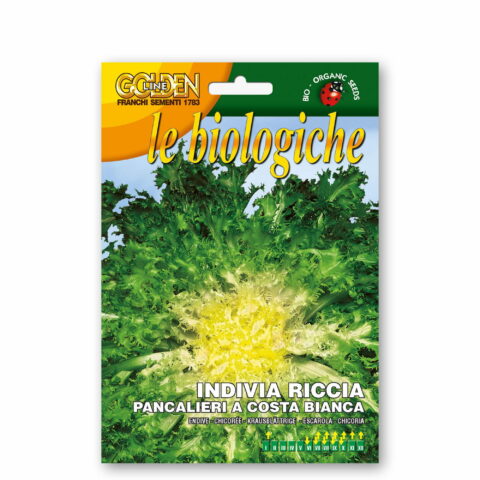 Indivia riccia Pancalieri a costa bianca (Semente biologica)