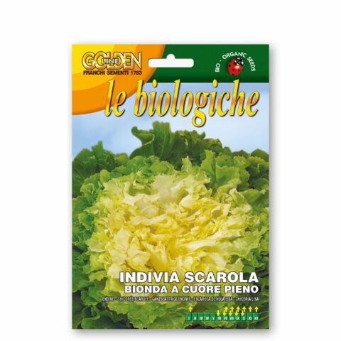 Indivia scarola bionda a cuore pieno (Semente biologica)