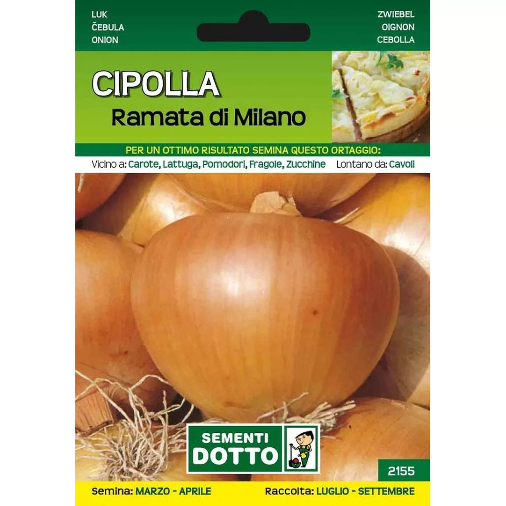 Cipolla ramata di Milano (Semente)