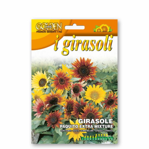 Girasole paquito extra mixture (Semente)