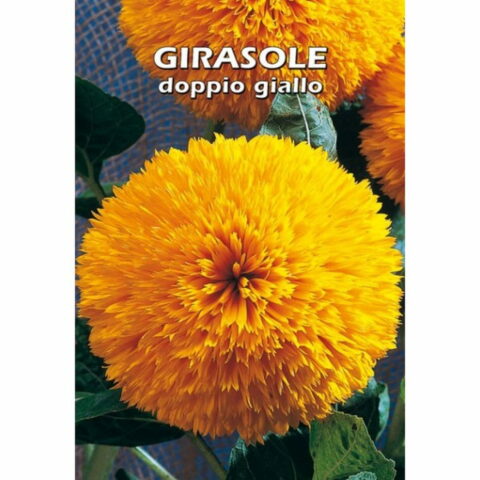 Girasole doppio giallo (Semente)