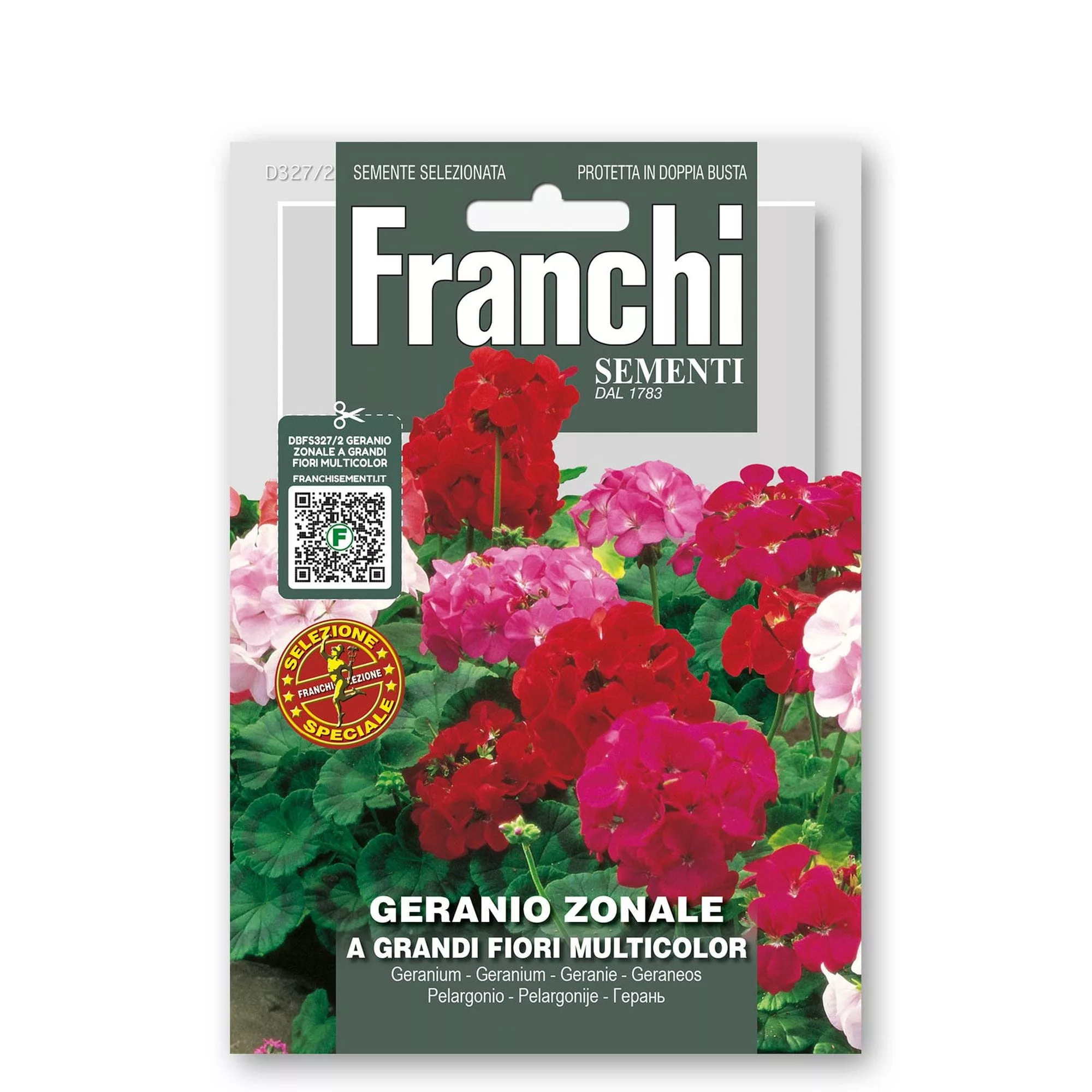 Geranio zonale (Semente)