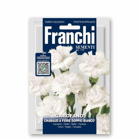 Garofano chabaud a fiore doppio bianco (Semente)