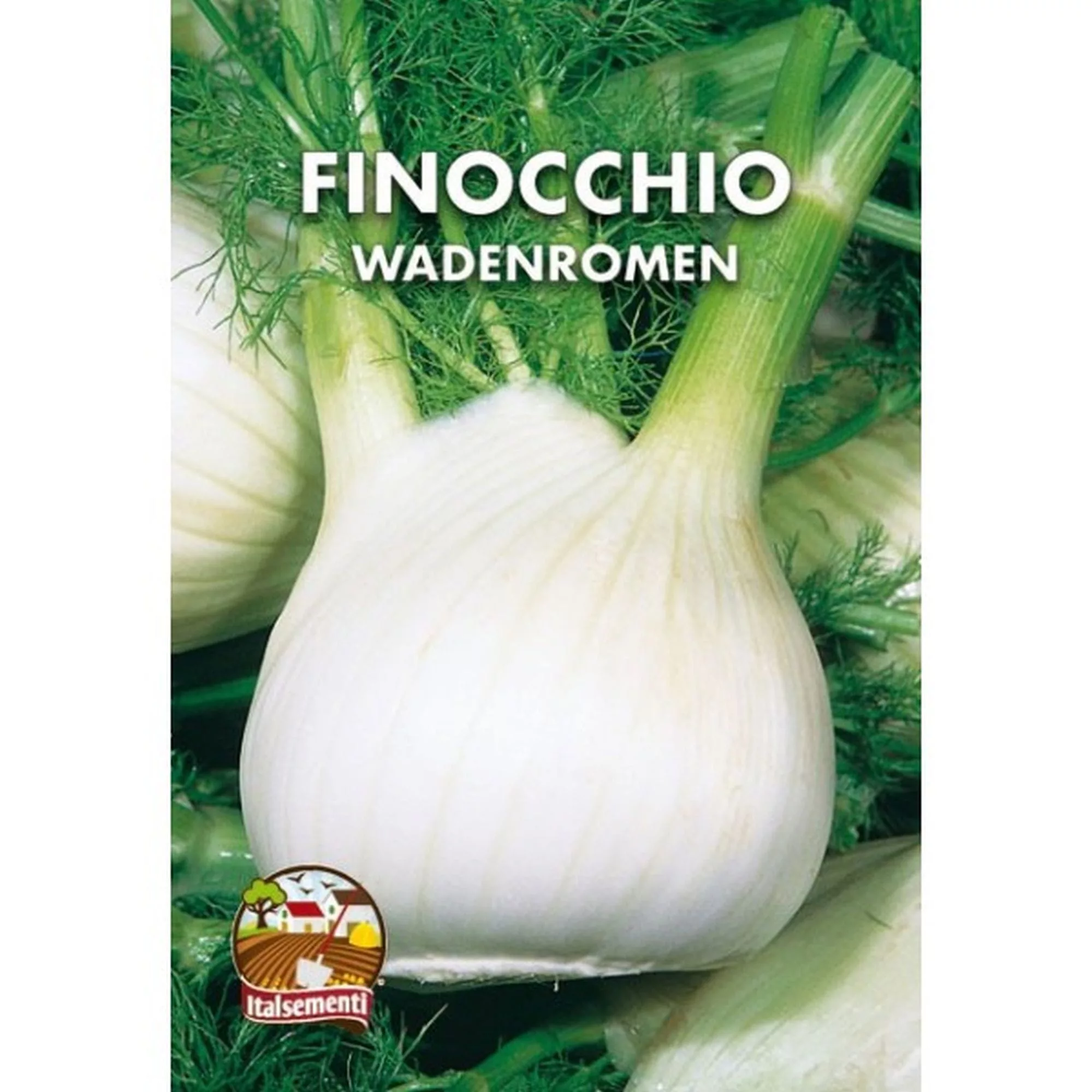 FinocchioWadenromen (Semente)