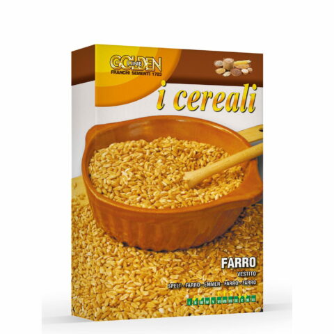 Farro (Semente in scatola gr 100)