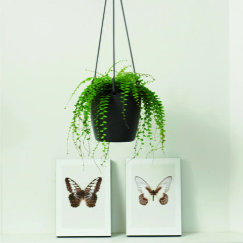 Vaso BRUSSELS HANGING BASKET Elho
