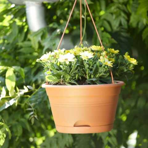 Vaso GREEN BASICS HANGING BASKET - Elho