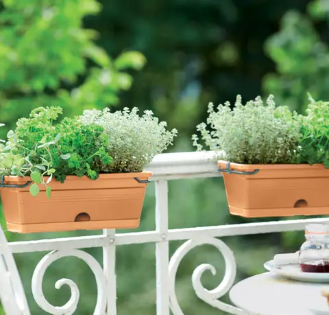 Vaso GREEN BASICS TROUGH MINI ALLIN1 - Elho
