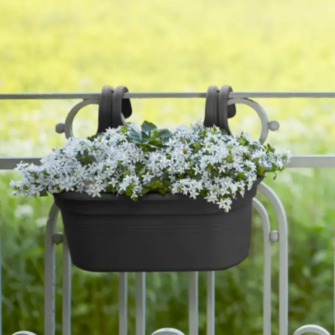 Vaso GREEN BASICS EASY HANGER LARGE - Elho