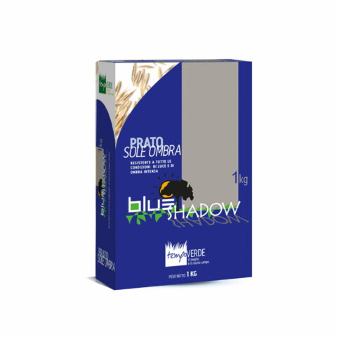 Blue Shadow (Semente)