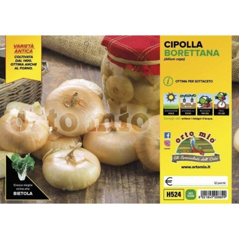 Cipolla gialla Borettana da sottaceto