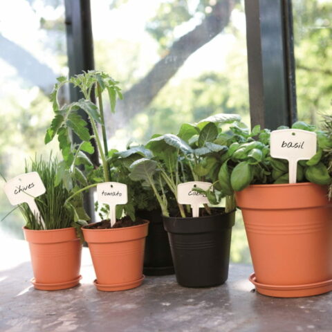 Vaso GREEN BASICS GROWPOT - Elho